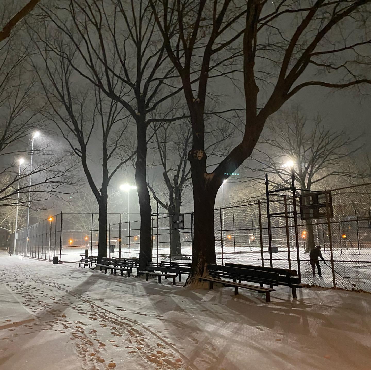 A snowy park at night with bare trees and footprints on the ground. lit streetlamps illuminate a fenced basketball court where a solitary figure can be seen.
